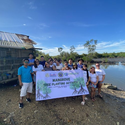 Trans-Asia plants 300 mangrove trees