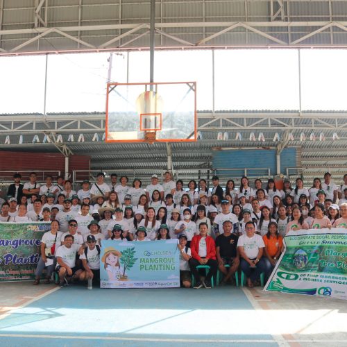 Mangrove Tree Planting