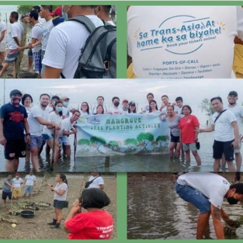 TRANS-ASIA SOWS SEEDS OF INSPIRATION